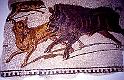 BARDO 00 (4)